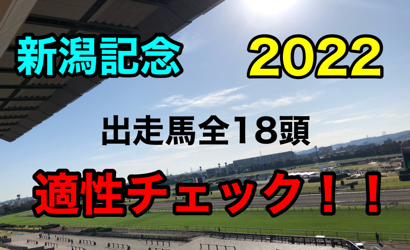 新潟記念　2022 血統