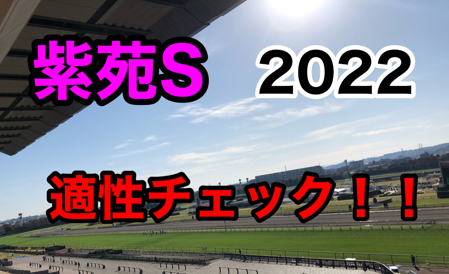 紫苑S 2022 血統　距離　コース　適性