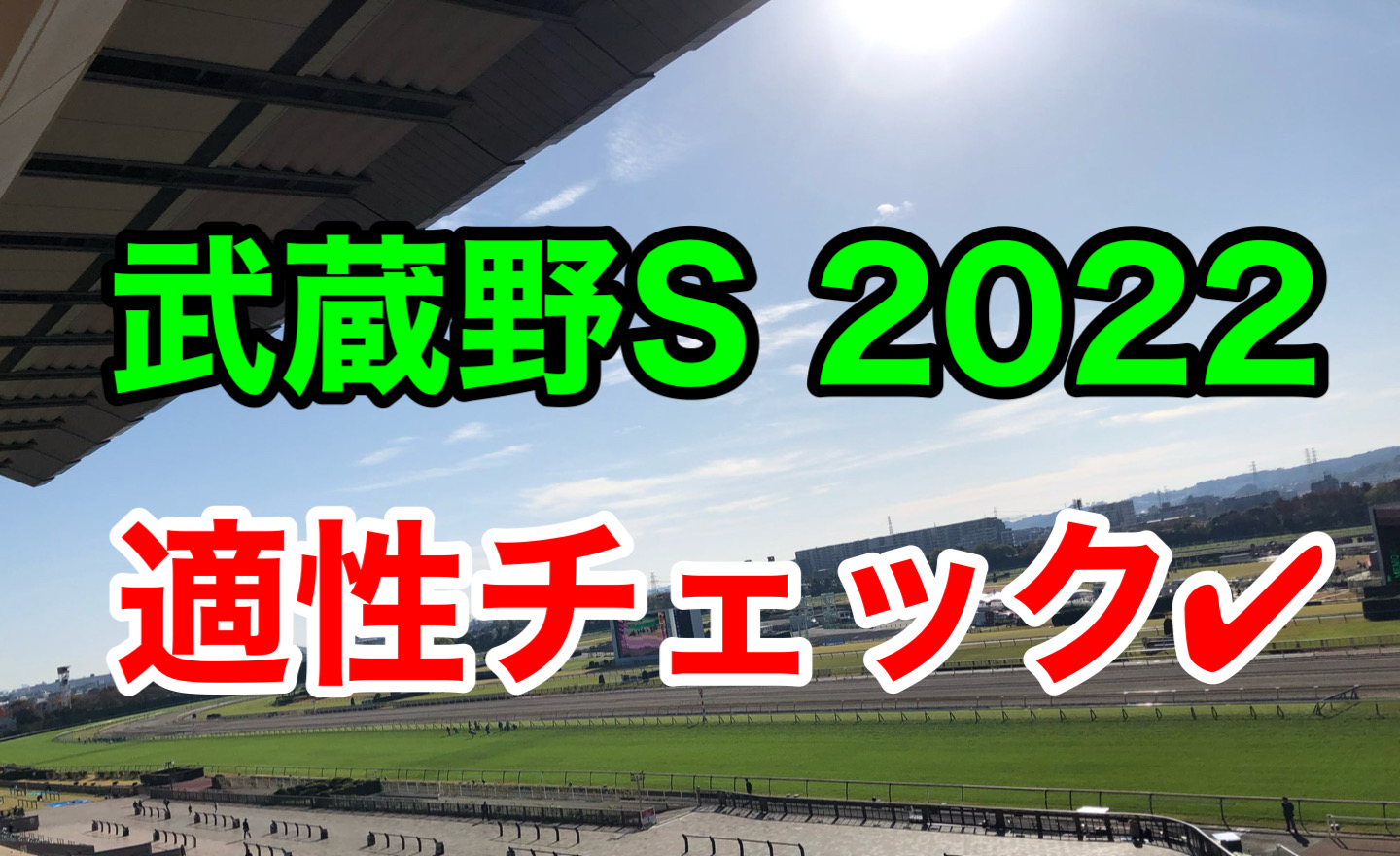 武蔵野S 2022 血統　適性　傾向