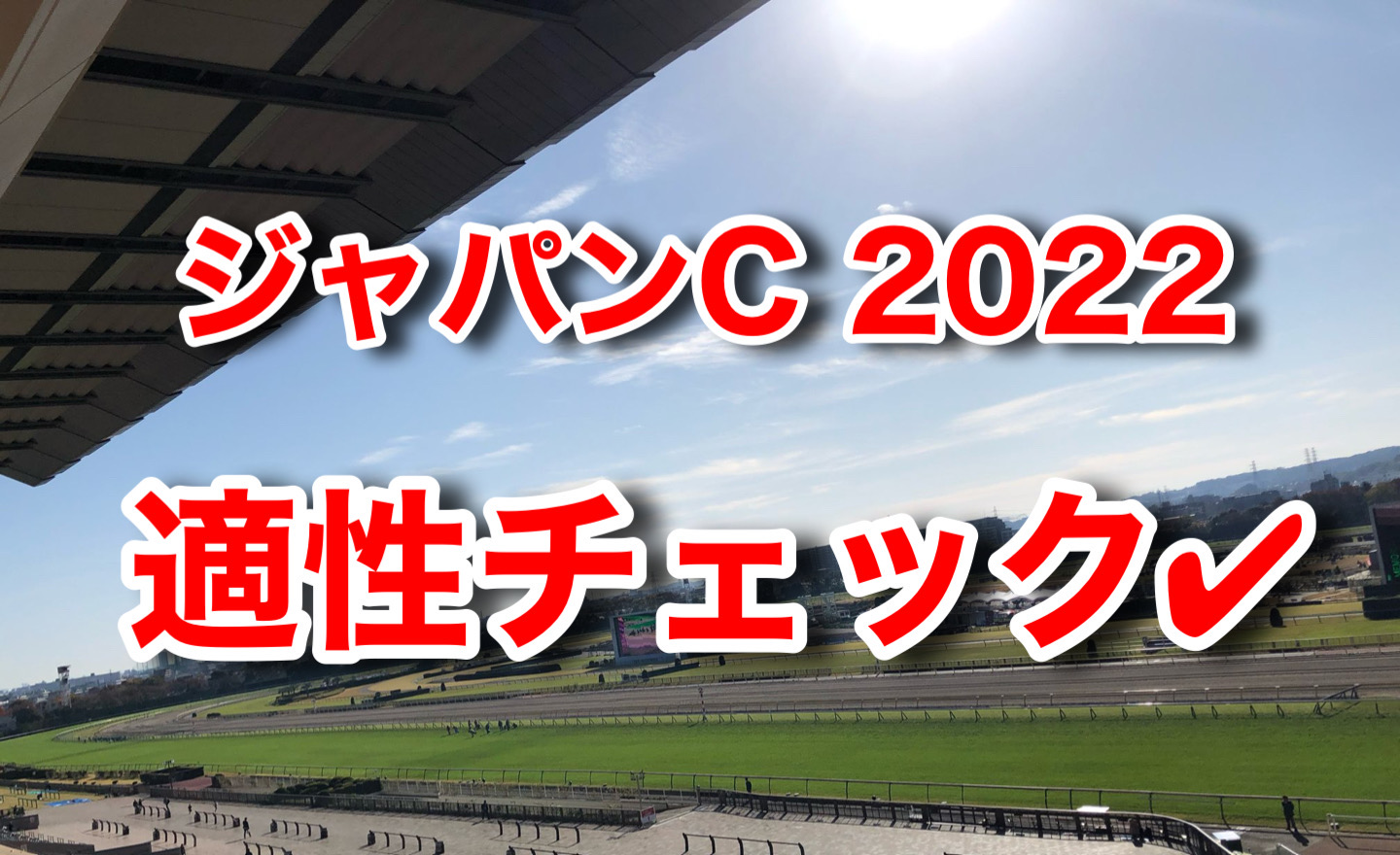 ジャパンC 2022 出走馬 適性　血統　診断　評価