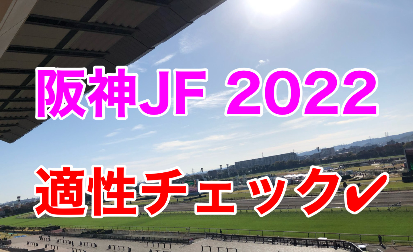 阪神JF 2022 血統　適性　評価　診断　出走馬