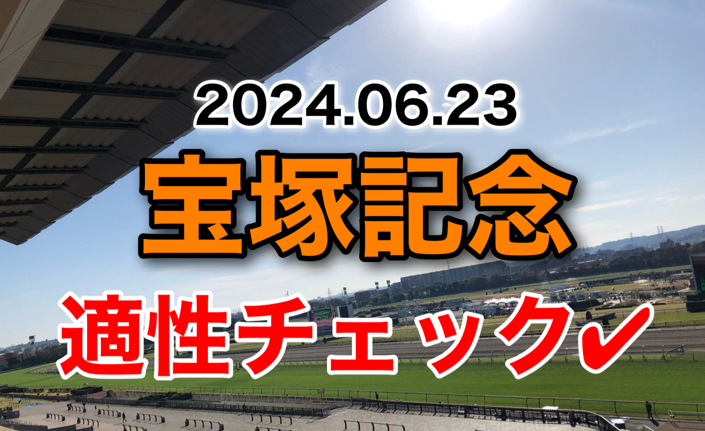 宝塚記念 2024 出走馬　適性　診断　血統　傾向　評価