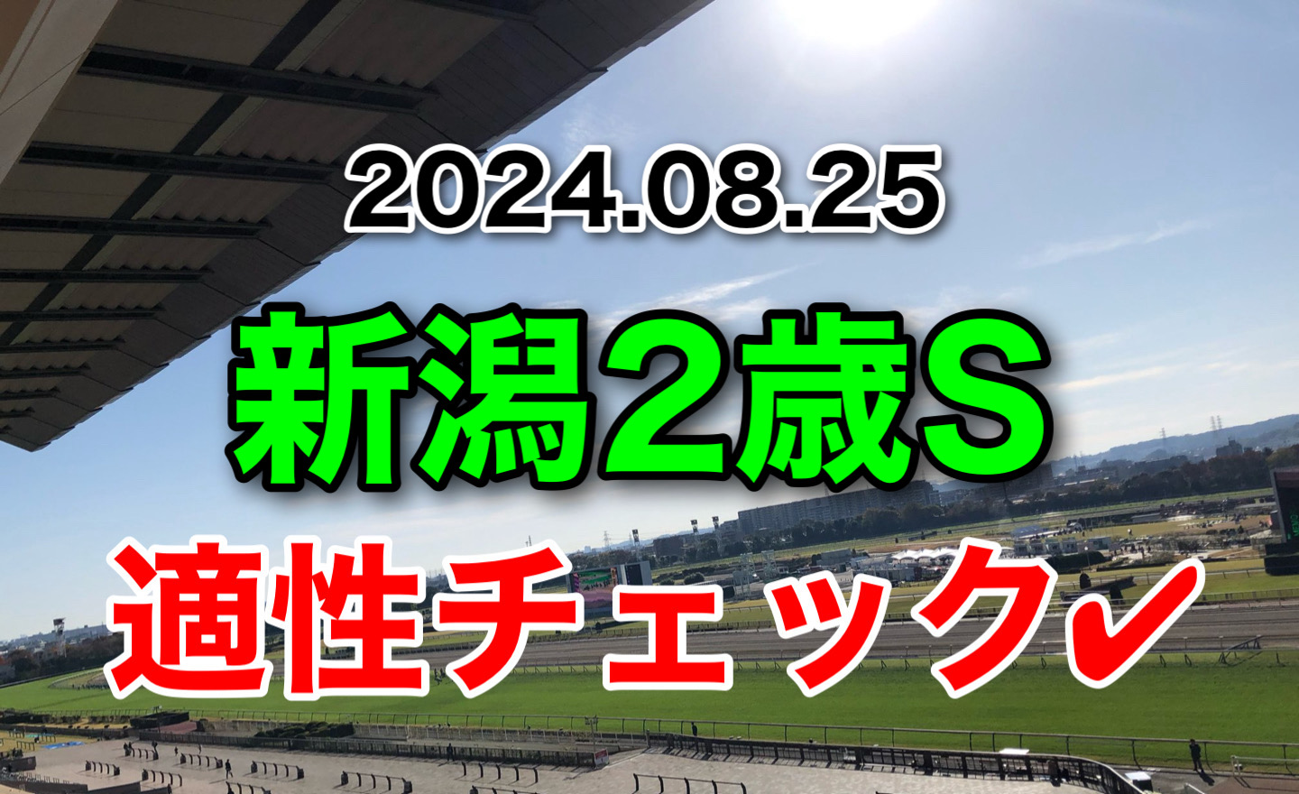 新潟2歳S　2024 出走馬　適性　診断　血統　傾向　評価