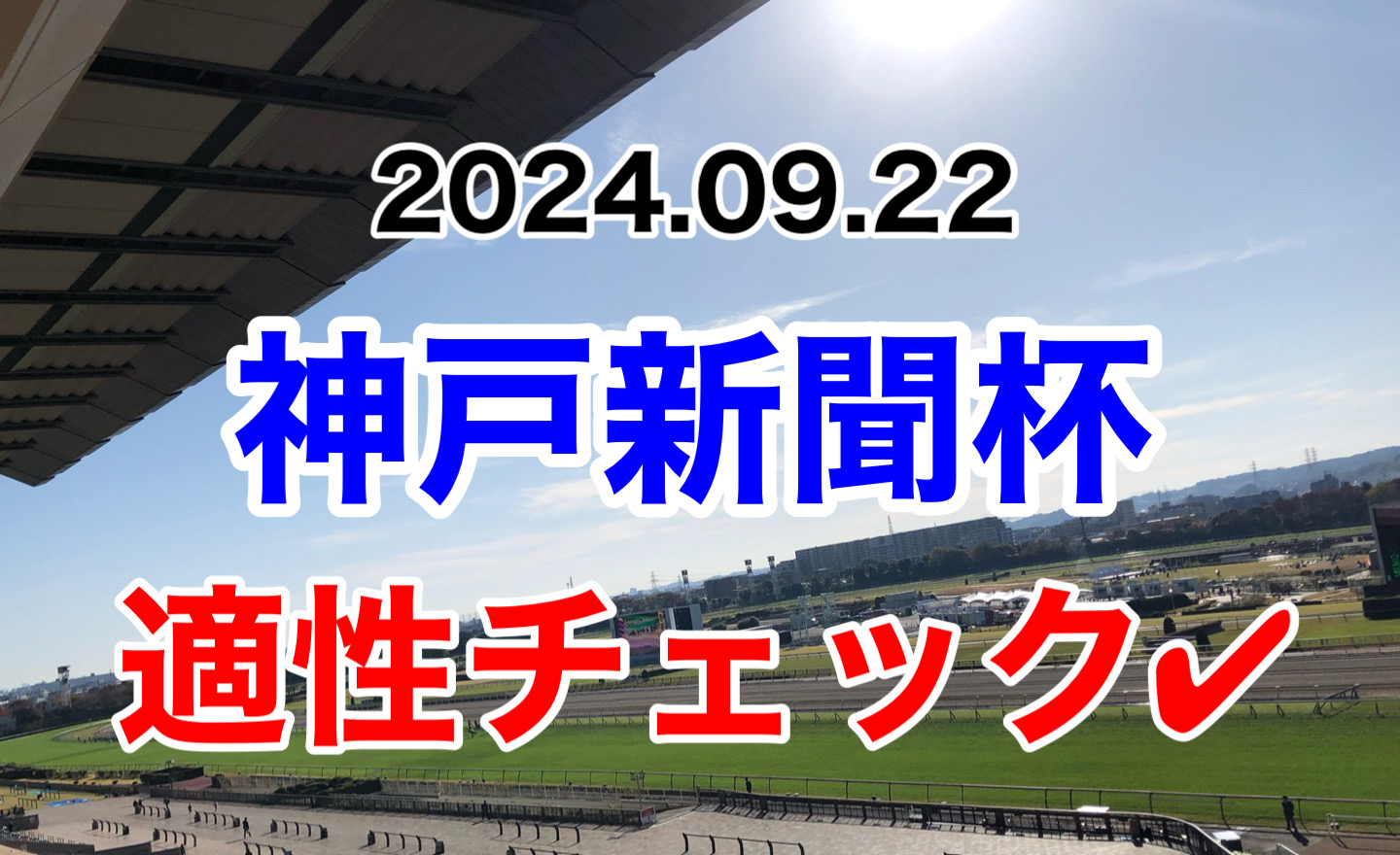 神戸新聞杯　2024 出走馬　適性　診断　血統　傾向　評価