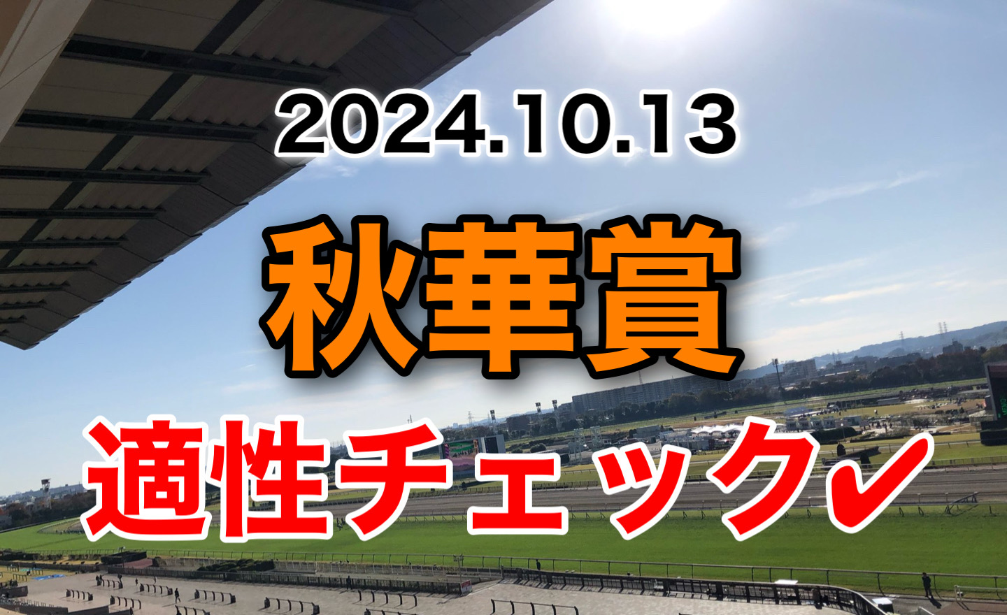 秋華賞　 2024 出走馬　適性　診断　血統　傾向　評価