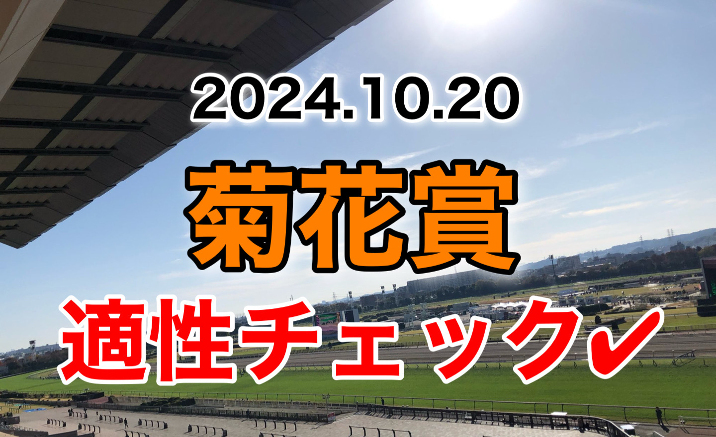 菊花賞　2024 出走馬　適性　診断　血統　傾向　評価